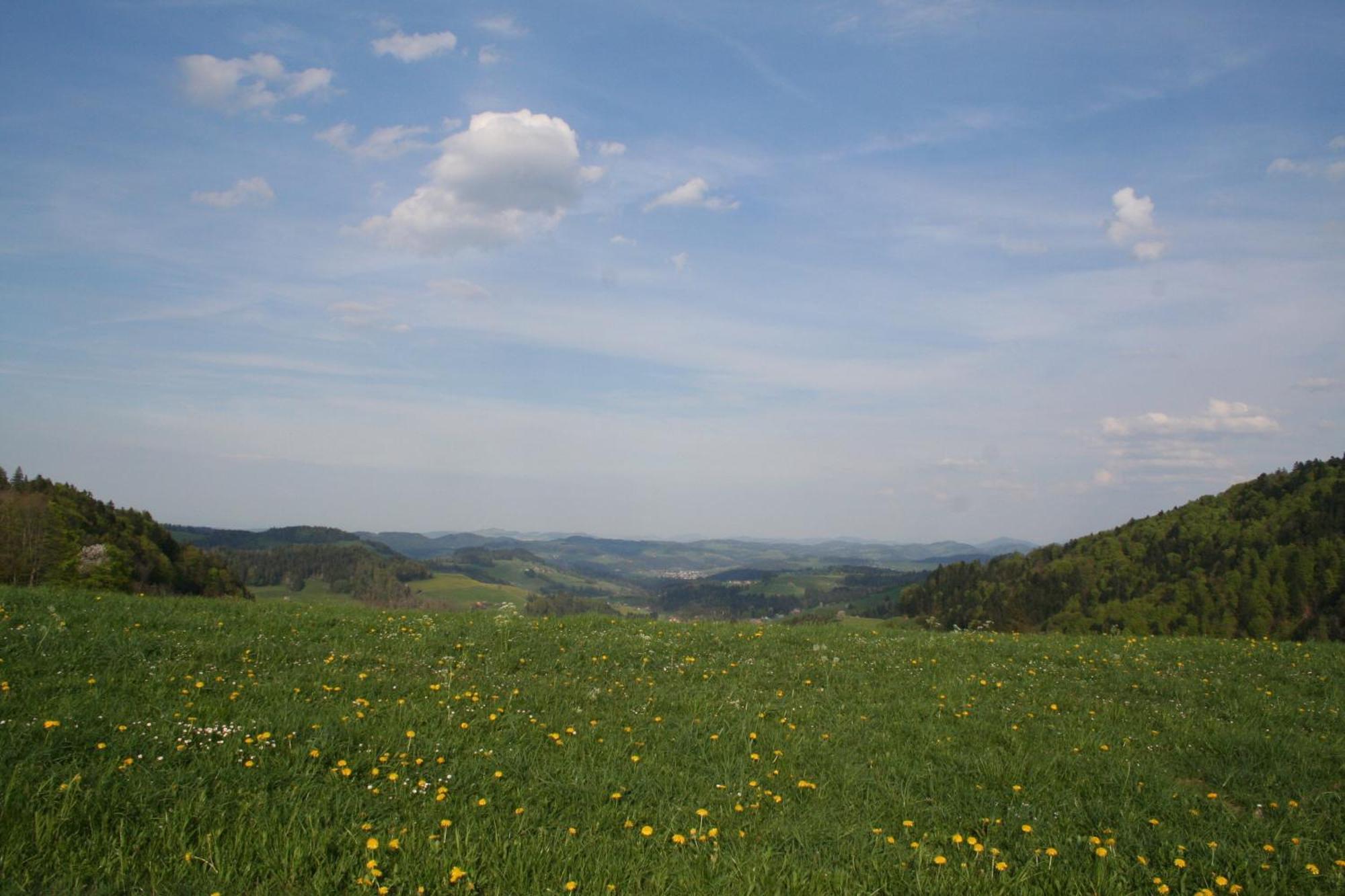 Hotel Hulfteggpass Mühlrüti Buitenkant foto